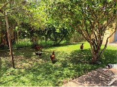 Troco casa/chácara en Caçapava por casa/edícula/terreno em São José dos Campos