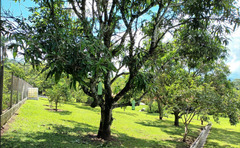 Troco casa/chácara en Caçapava por casa/edícula/terreno em São José dos Campos