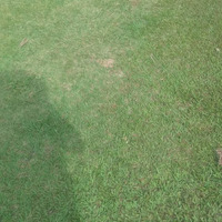 PERMUTA TROCA S/TROCO