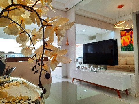 Troco casa terrea no interior por apartamento ou casa em São Paulo