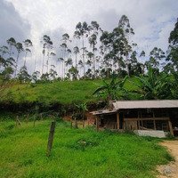 Troco Chácara no interior de Massaranduba/SC por casa na praia ou serra em Santa Catarina.