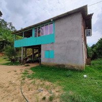 Troco Chácara no interior de Massaranduba/SC por casa na praia ou serra em Santa Catarina.