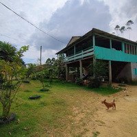 Troco Chácara no interior de Massaranduba/SC por casa na praia ou serra em Santa Catarina.