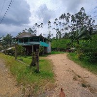 Troco Chácara no interior de Massaranduba/SC por casa na praia ou serra em Santa Catarina.